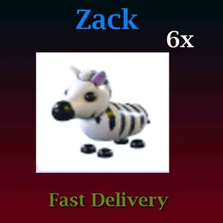 6X Zebra