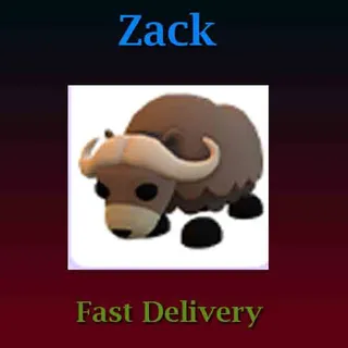 Musk Ox
