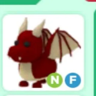 Pet | Dragon NF