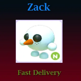 Pet | N Snowball Pet