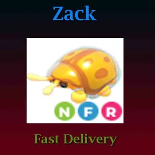 Golden Tortoise NFR (Luminous)