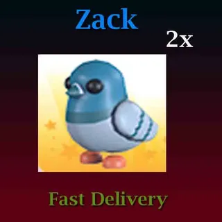 2X Rock Pigeon 