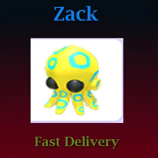 Pet | Blue Ringed Octopus