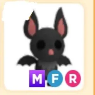 Pet | Bat MFR