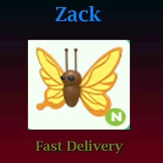 Yellow Butterfly N