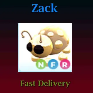 Pet | Golden Ladybug NFR