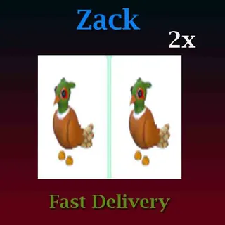 Brown-Chested Pheasant 2X