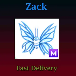 2024 Birthday Butterfly Mega