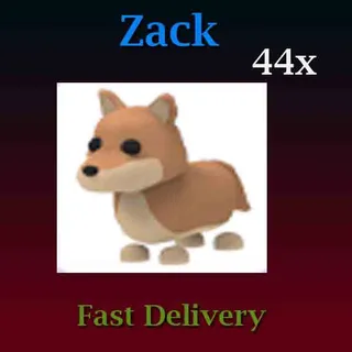 44X Dingo