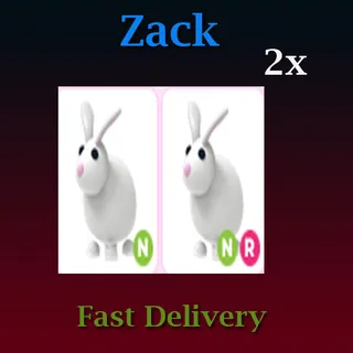 2X Neon Rabbit