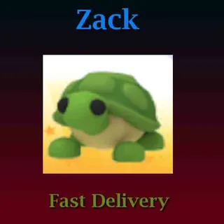 Turtle (Full Grown)