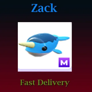 Pet | Narwhal M