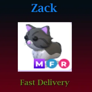 Pet | MFR Persian Cat