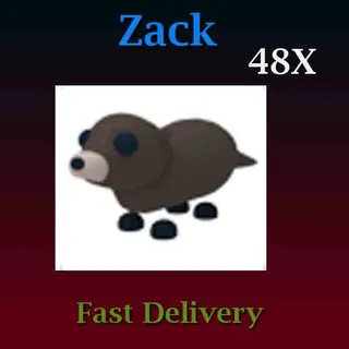 48X Otter