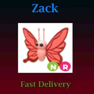 NR Scarlet Butterfly