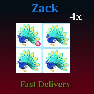 4X Peacock