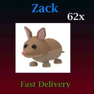 62X Bandicoot