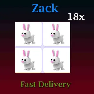 Bunny 18X