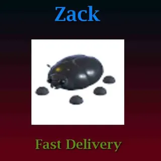 Giant Black Scarab