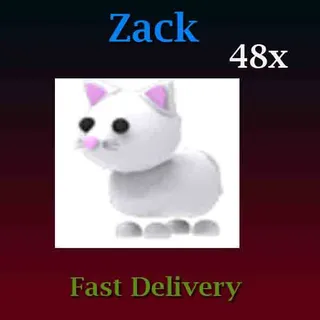 48X Snow Cat