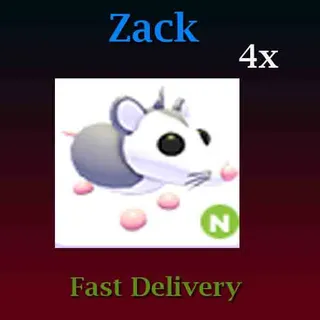 4X Neon Possum