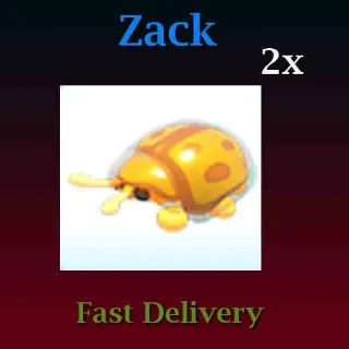 2X Golden Tortoise Beetle