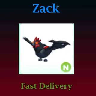 Pet | N Evil Chickatrice