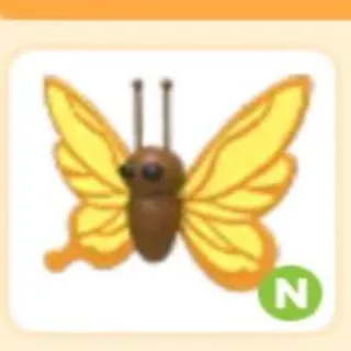 Pet | Yellow Butterfly N