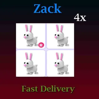 Bunny 4X