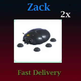 2X Giant Black Scarab