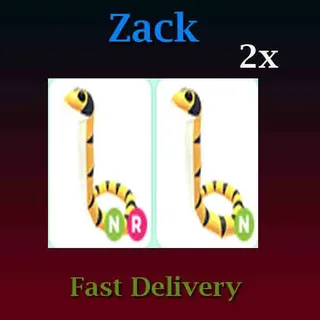 Yellow-lipped Sea Krait Neon 2X