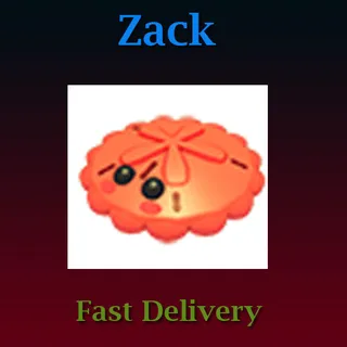 Pet | Red Sand Dollar