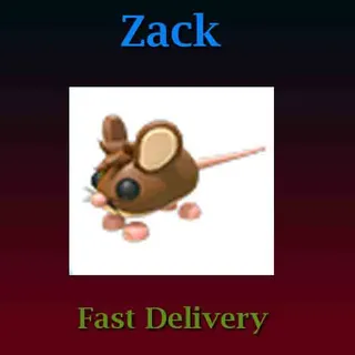 Pet| Field Mouse (Full Grown)