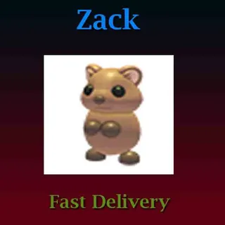 Quokka