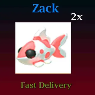 Koi Carp 2X