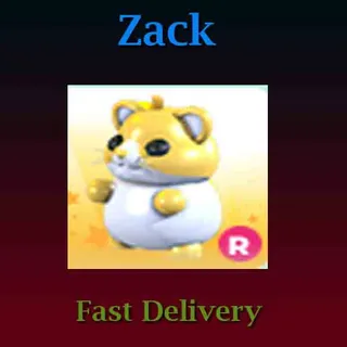 R Golden Hamster (Full Grown)