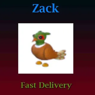 Brown-Chested Pheasant