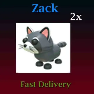 2X Raccoon Adopt Me