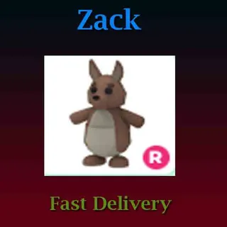 Kangaroo R (Full Grown)