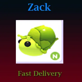 Pet | Sprout Snail N