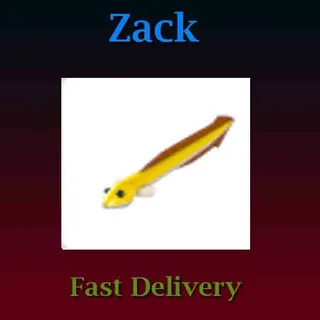 Eel