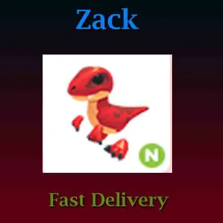 Pet | N Velociraptor