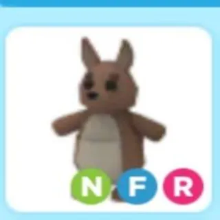 Kangaroo NFR