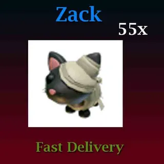 55X Halloween Black Mummy Cat