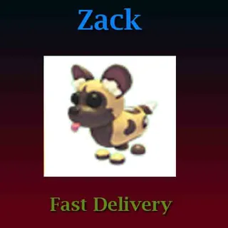 African Wild Dog