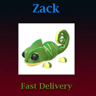 Chameleon (Full Grown)