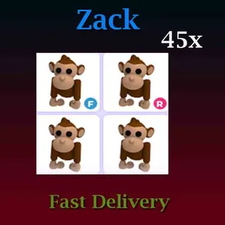 Monkey 45X