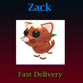 Pet | 3X Pudding Cat (Full Grown)