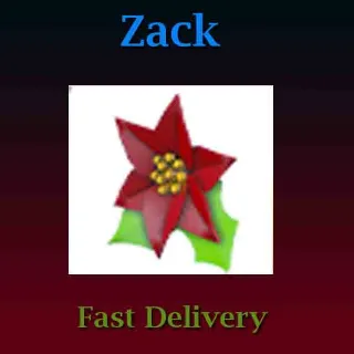 Poinsettia Hair Clip