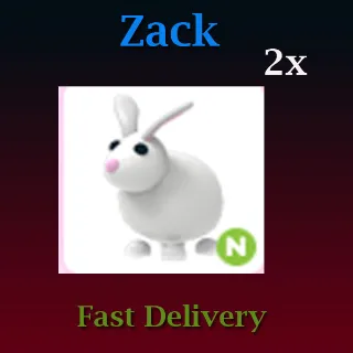 2X N Rabbit